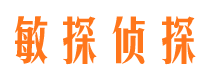 普兰侦探